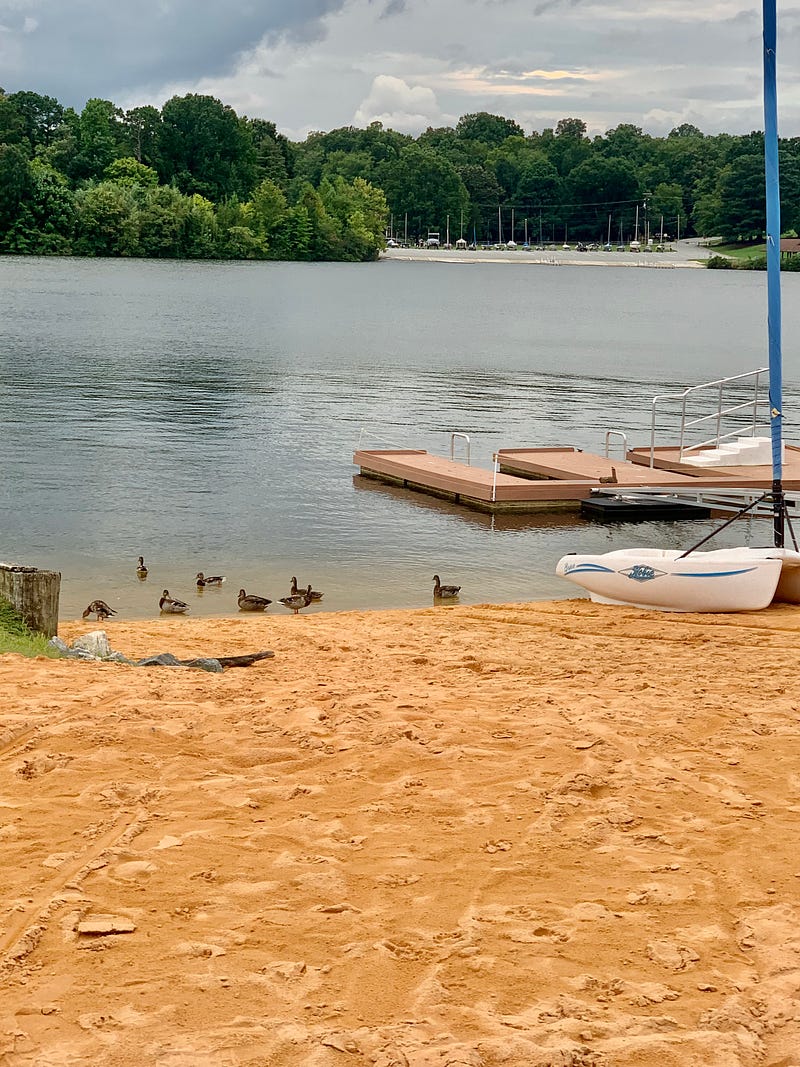 Boats enjoying the lake