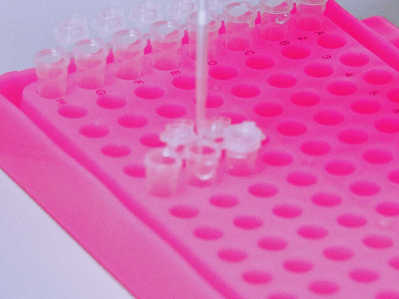 Close-up of microcentrifuge tubes used in RNA isolation