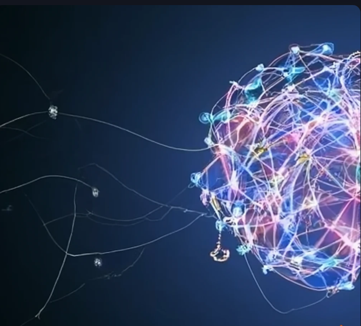 The relationship between humans and atomic size