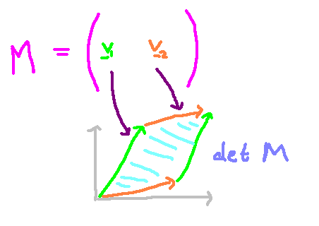 Determinant and volume representation