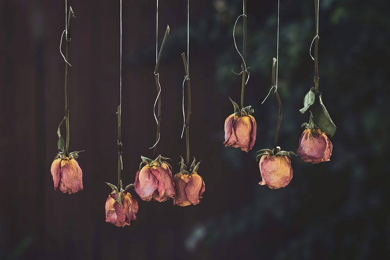 Dried roses in a decorative vase