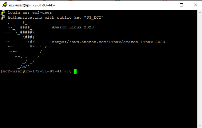 Connecting to EC2 instance using PuTTY