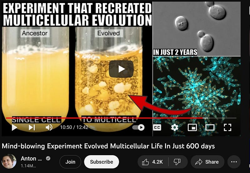 Conceptual illustration of cellular communication