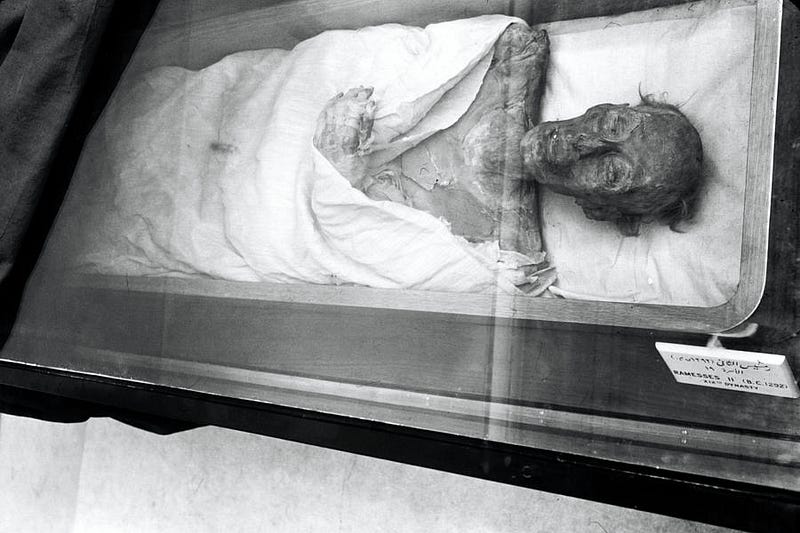 Preserved mummy of Ramses II on display