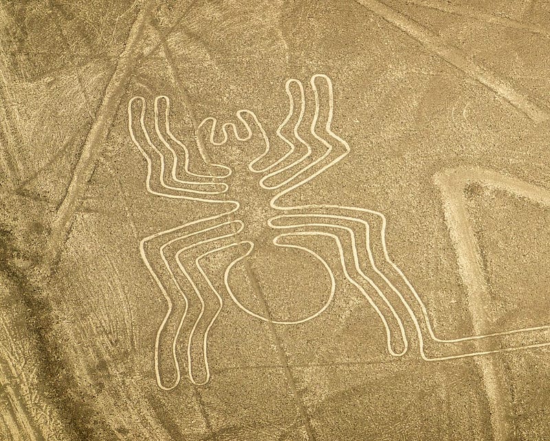 Nazca Lines Geoglyphs - The Spider