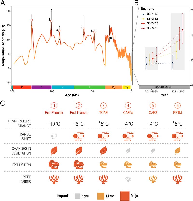 Temperature anomalies over geological periods