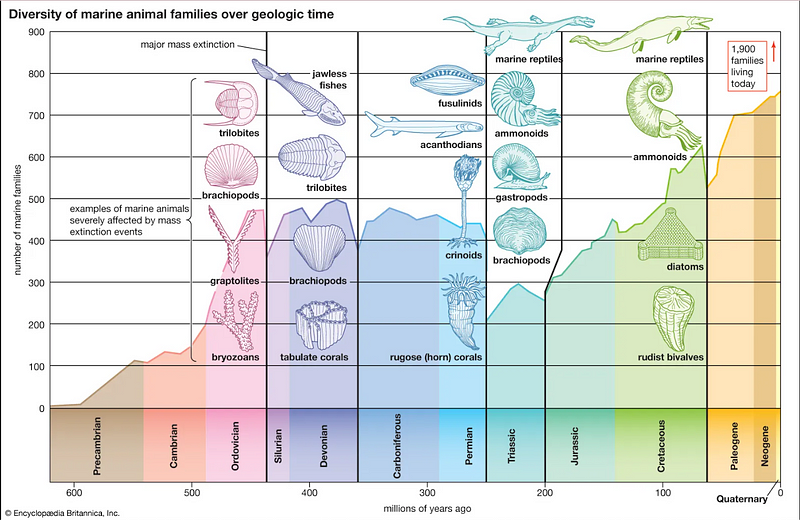 Marine biodiversity and mass extinction events