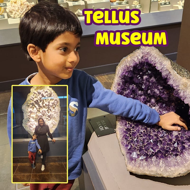 Exploring exhibits at the Tellus Museum