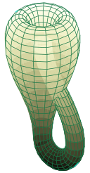 Klein bottle representation