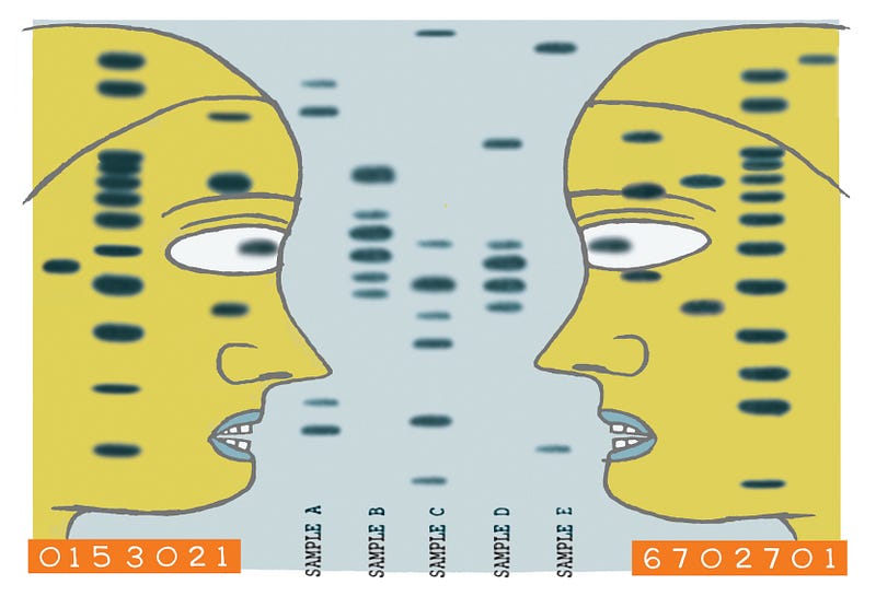 DNA testing and identical twins in forensic science