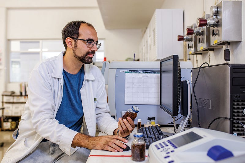 Researcher working on seaweed conversion to biogas