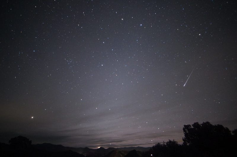 Leonid meteor captured by an amateur astrophotographer