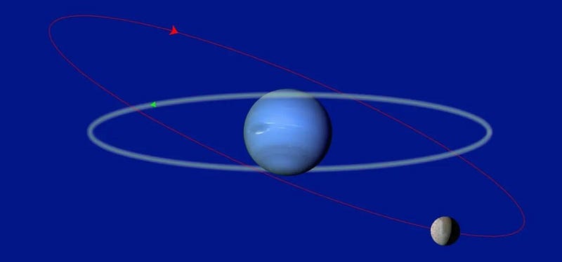 Triton's gravitational interaction with Neptune